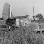 Spitfire Mk II code YQ-D of No. 616 Squadron RAF rear