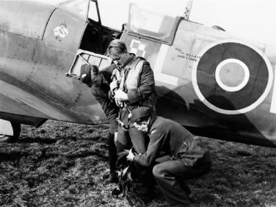 Polish Spitfire Mk Vb WX-L EN865