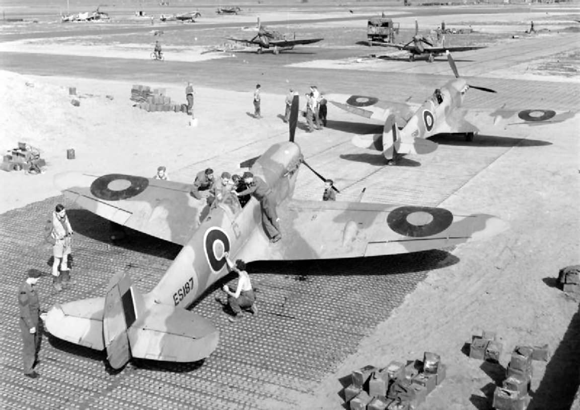 Spitfires Mk V in North Africa