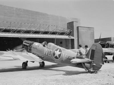 Spitfire Mk V of the 4th FS, 52nd FG, Maison Blanche 1943