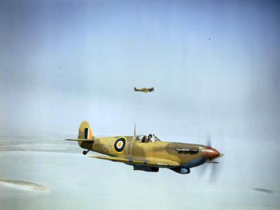Spitfire Mk V ER622 WR-D of 40 Squadron SAAF, 1943
