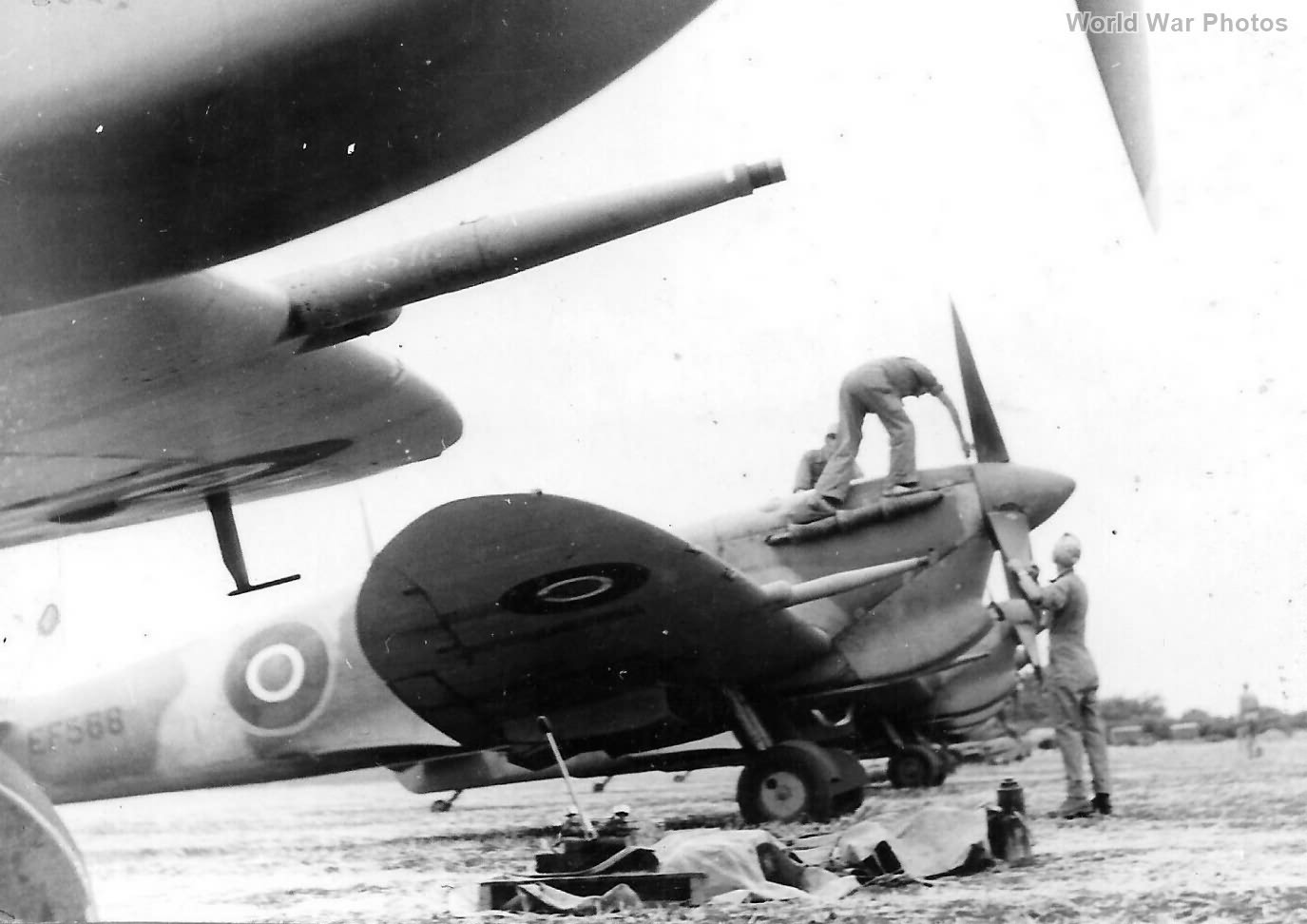 SPITFIRE FREE FRENCH AIR FORCE in North AFRICA