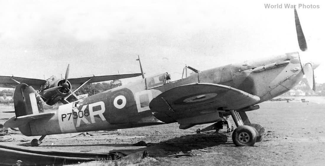 Spitfire IIa P7308 71 Sqn