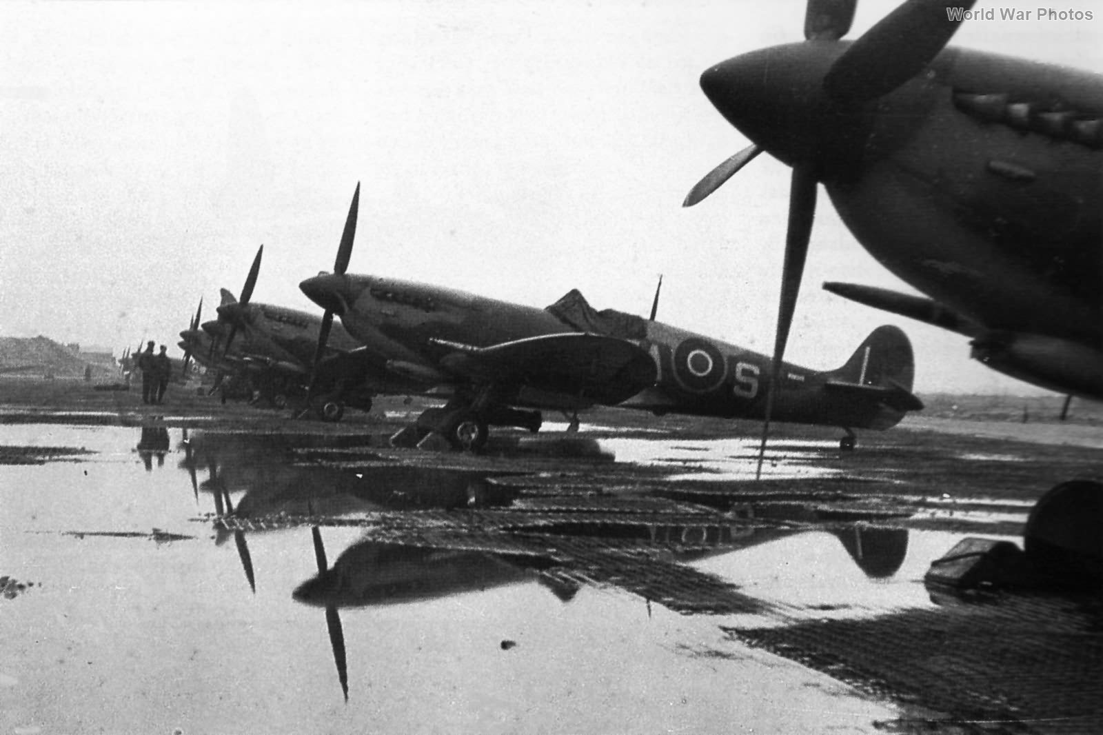 Spitfires Cigognes Holland 1945