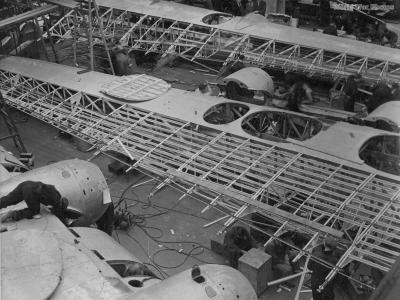 Sunderland wings