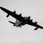 Short Sunderland 5