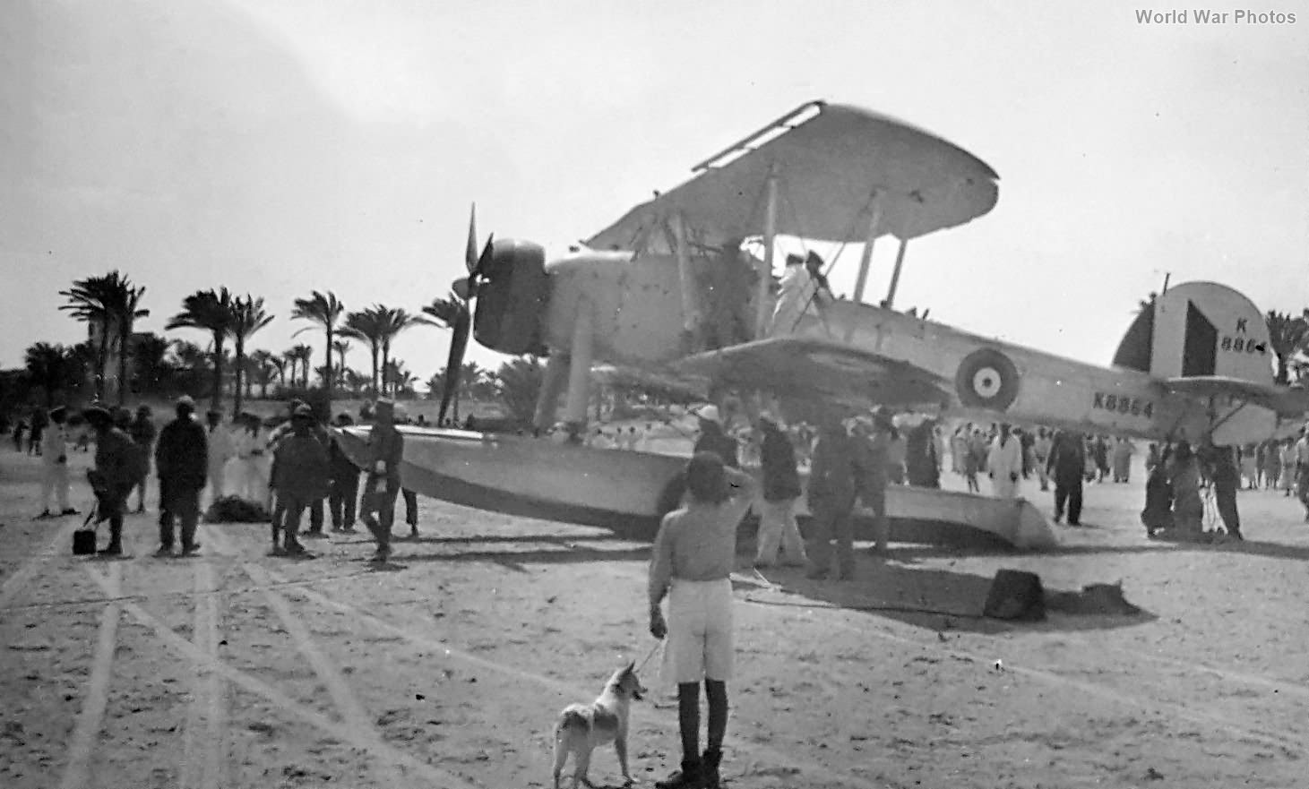 Swordfish of No. 700 Squadron from HMS Warspite