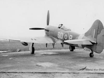 Tempest V SD-P 501 Sqn RAF