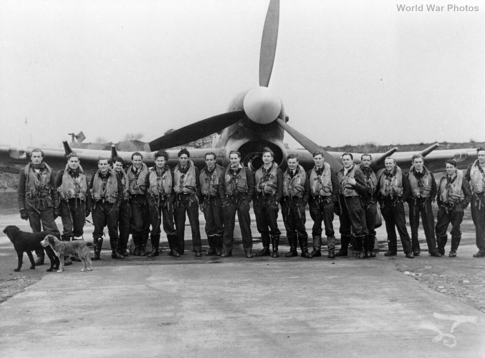 Hawker Typhoon pilots