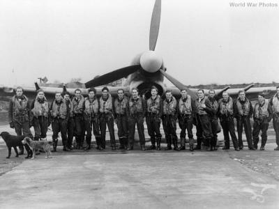 Hawker Typhoon pilots