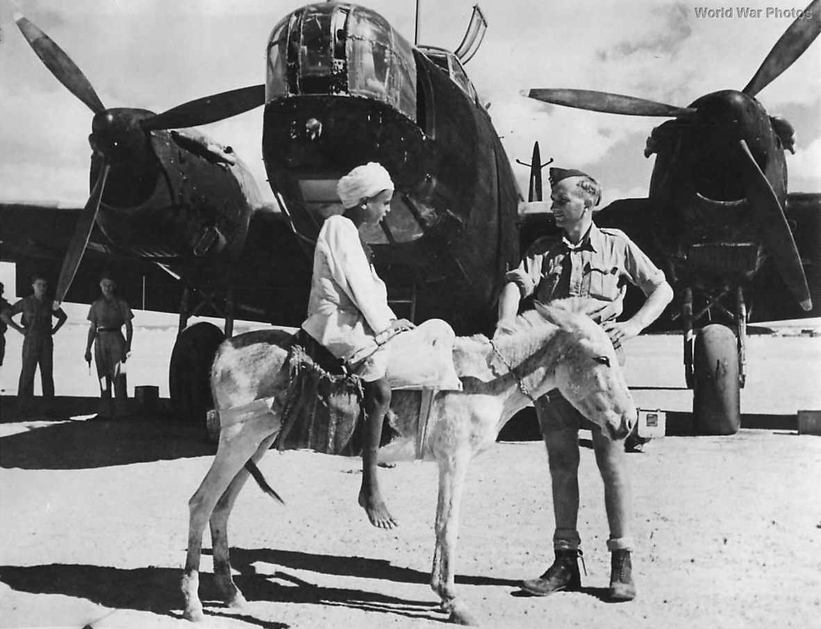 Native Boy on Donkey with Wellington in Middle East 1942