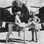 Native Boy on Donkey with Wellington in Middle East 1942