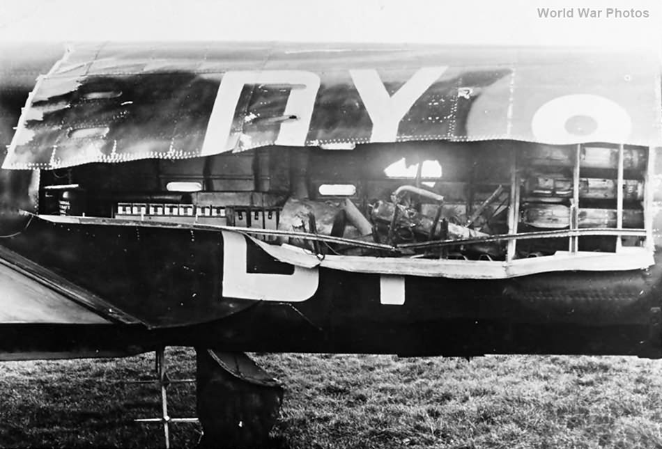 Whitley V P5005 DY-N