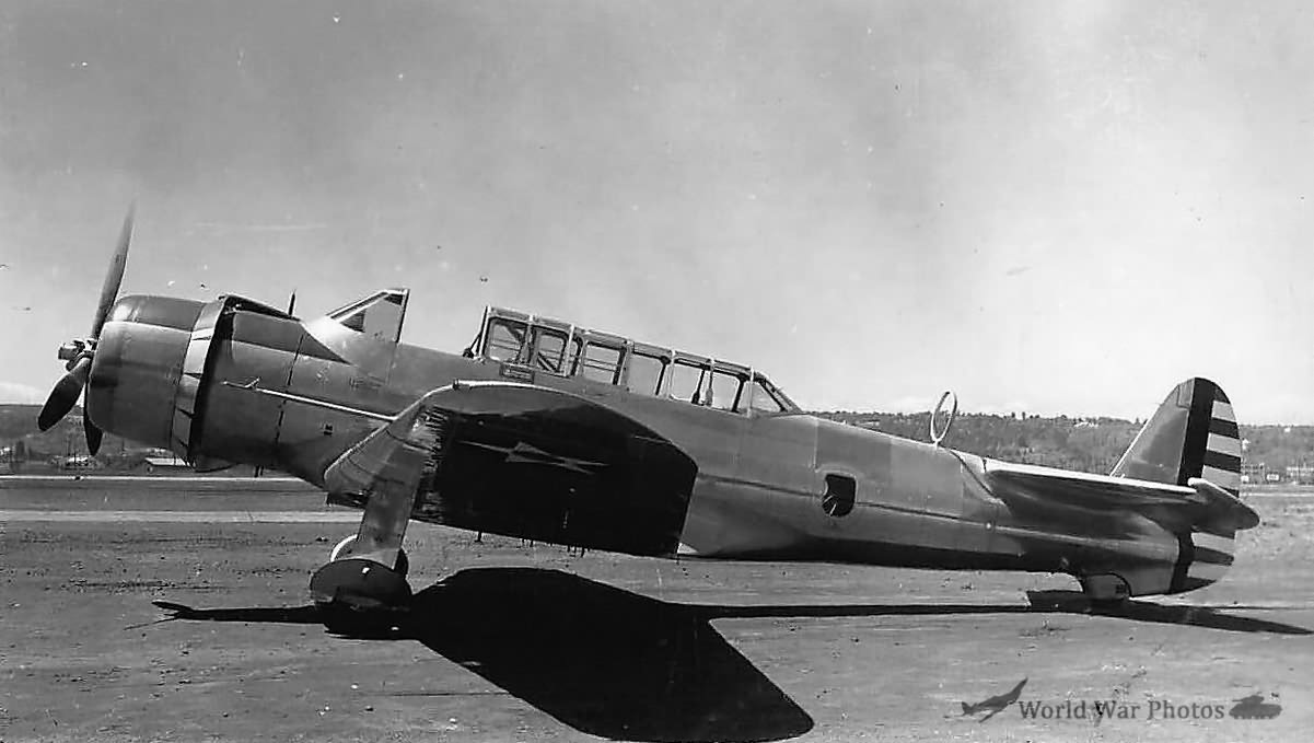 YA-19 38-554