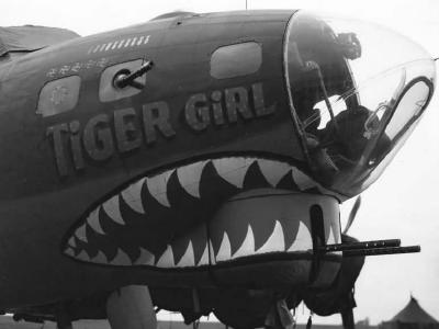 B-17F 42-3555 of 8th Air Force, 388th Bomb Group Nose Art „Tiger Girl”
