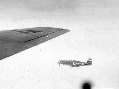 B-17 Flying Fortress and P-51Mustang B3+W in flight during World War II