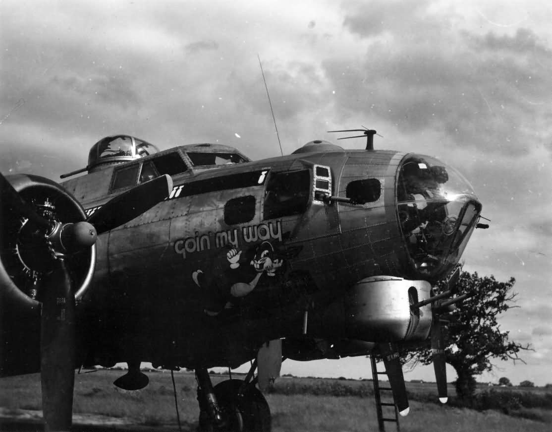 100th Bomb Group "Bloody Hundredth" B-17