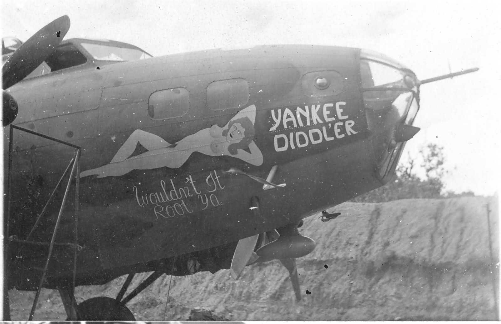 B-17E Flying Fortress of the 43rd Bomb Group 65th Bomb Squadron. „Yankee Diddler – Wouldn’t It Root Ya” Nose Art