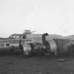 B-17 42-107034 457th Bomb Group 751st Bomb Squadron Rampant Pansy 1944 2