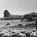 B-17G 44-6542 of the 2nd Bomb Group