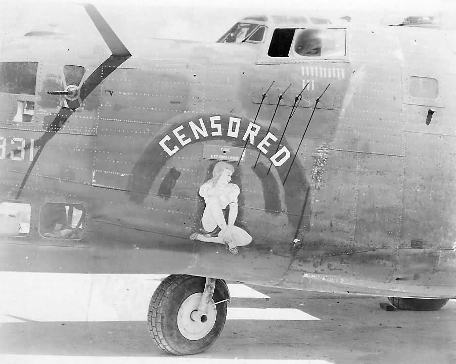 B-24D 42-72831of the 11th Bomb Group 431st Bomb Squadron