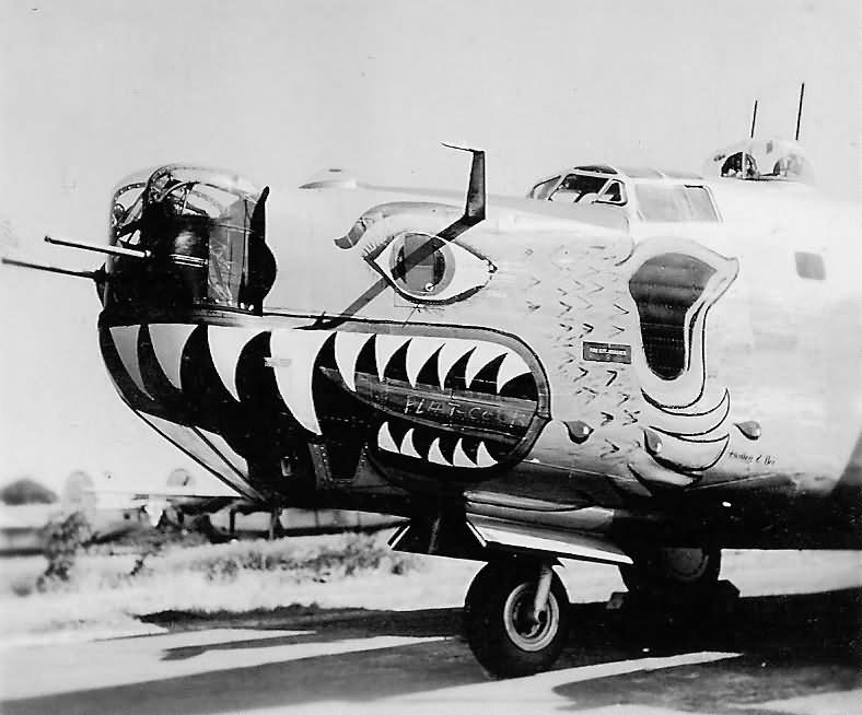 B-24 Liberator with Bird of Prey Mouth