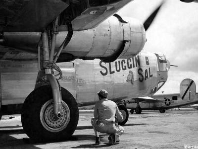 B-24J Liberator 44-40750 of the 865th Bomb Squadron 494th Bomb Group