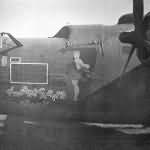B-24H Liberator 41-29242 #46 „FLABBERGASTED FANNY” of the 451st Bomb Group, 726th Bomb Squadron, 15th AF – nose art