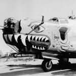 B-24 Liberator with Bird of Prey Mouth