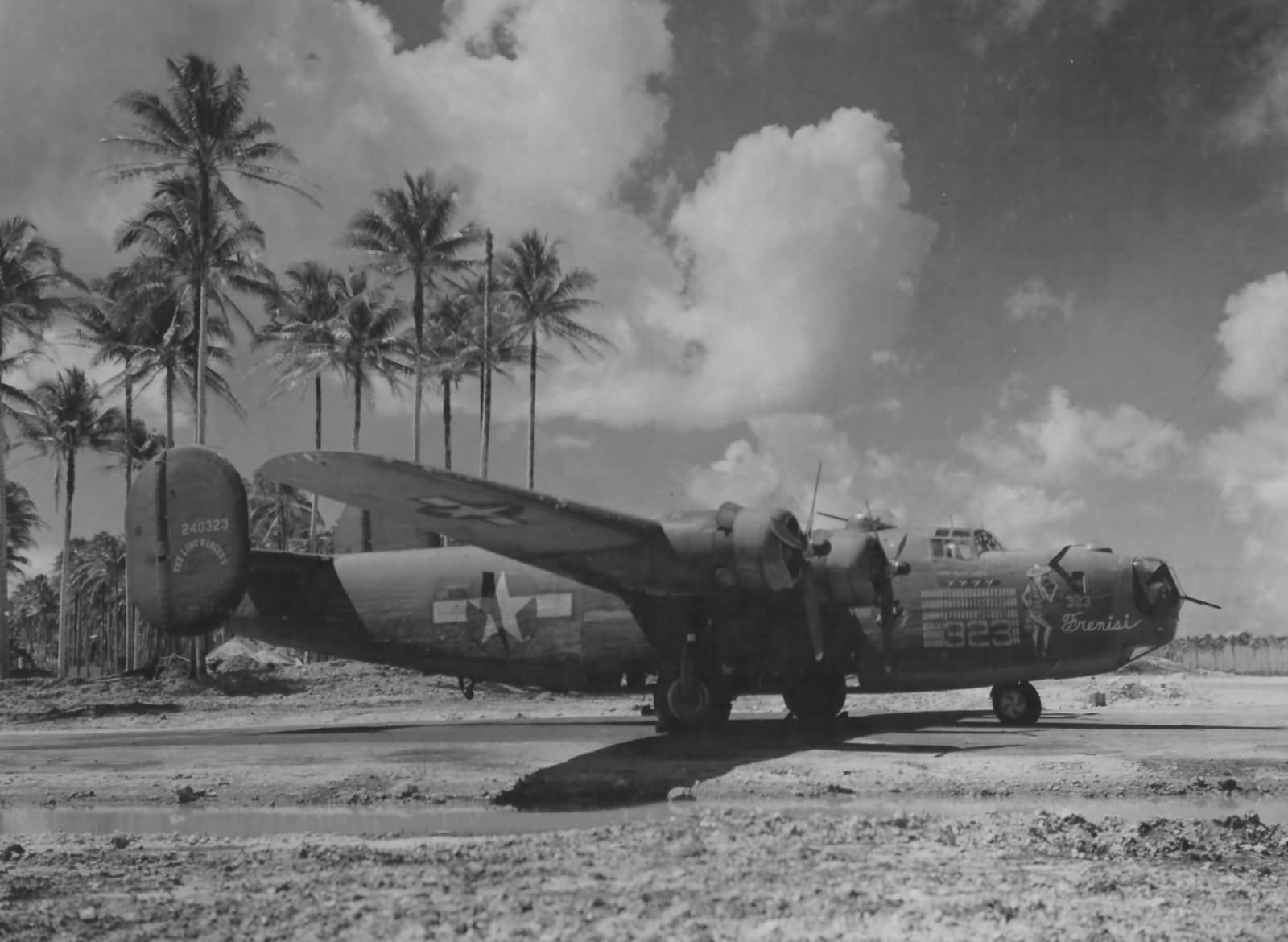B-24D Liberator Frenisi 307th Bomb Group Nose Art