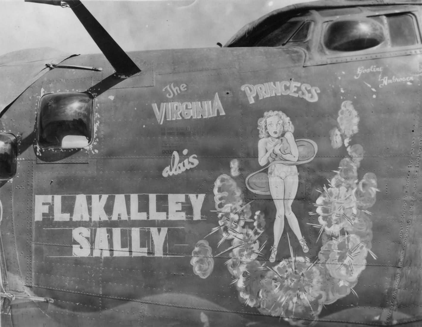 B-24 Liberator 455th Bomb Group