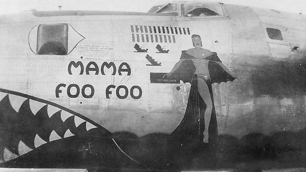 B-24 Liberator Bomber Mama Foo Foo Nose Art 308th Bomb Group