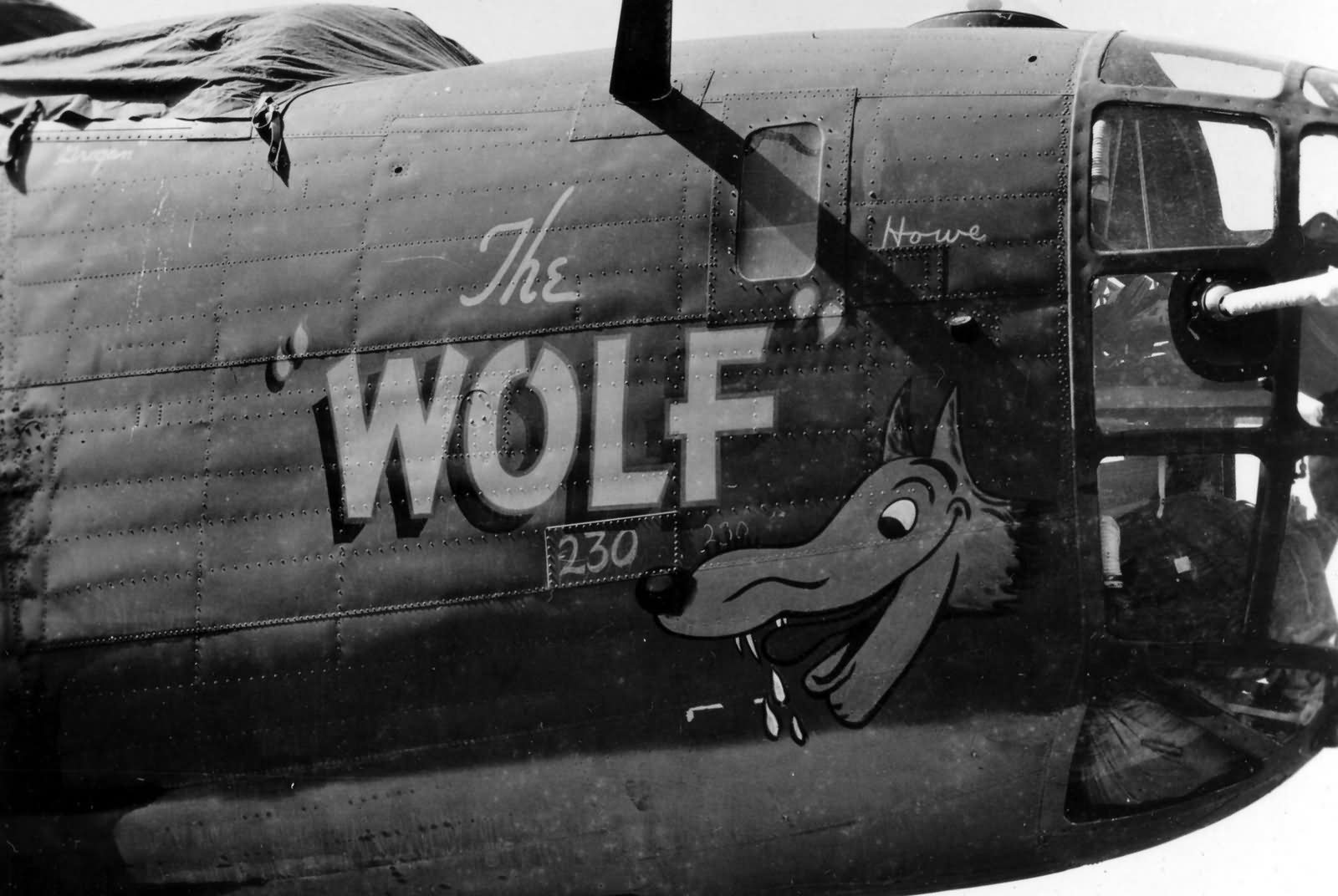 B-24 Liberator 308th Bomb Group Nose Art The Wolf
