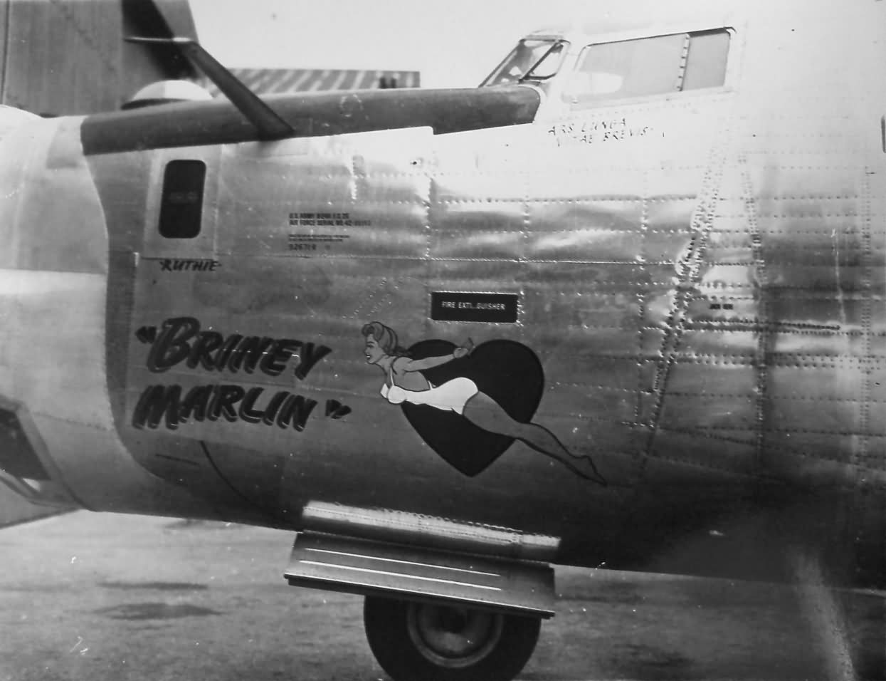 B-24 Liberator bomber 458th Bomb Group Nose Art Briney Marlin | World ...