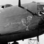 B-24 Liberator Ramp Rooster Nose Art 308th Bomb Group