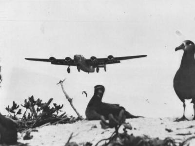 B-24 Liberator Comes in for Landing at Midway Island