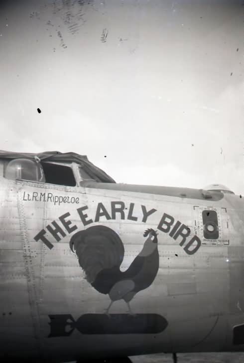 B-24 Liberator Bomber Nose Art The Early Bird Okinawa 1945 494th Bomb Group 865th Bomb Squadron