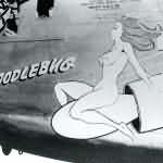 B-24 Liberator Nose Art Doodlebug 308th Bomb Group 375th Bomb Squadron
