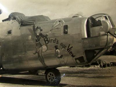 B-24 Liberator 7th Air Force Bomber Nose Art Birds Eye View