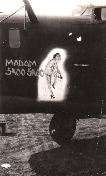 Liberator nose art Madam Shoo Shoo 450th Bombardment Group 722nd Bomb Squadron
