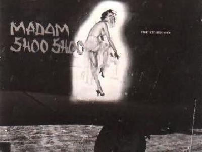 Liberator nose art Madam Shoo Shoo 450th Bombardment Group 722nd Bomb Squadron