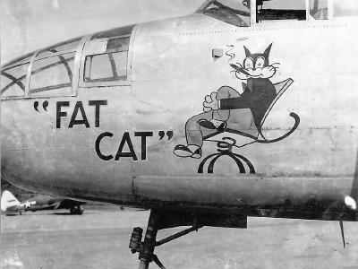 B-25 Mitchell Fat Cat nose art