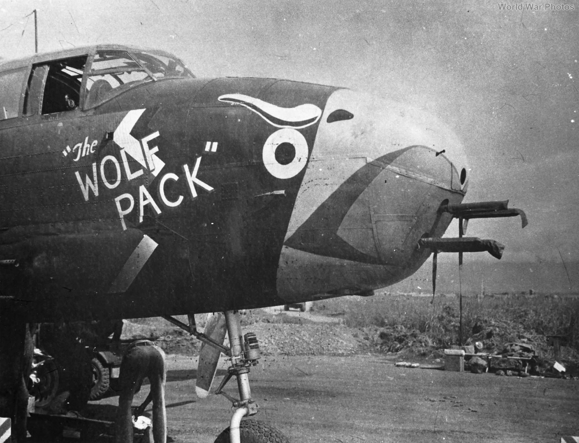 B-25D 41-30034 „The Wolf Pack” of the 498th BS, 345th BG