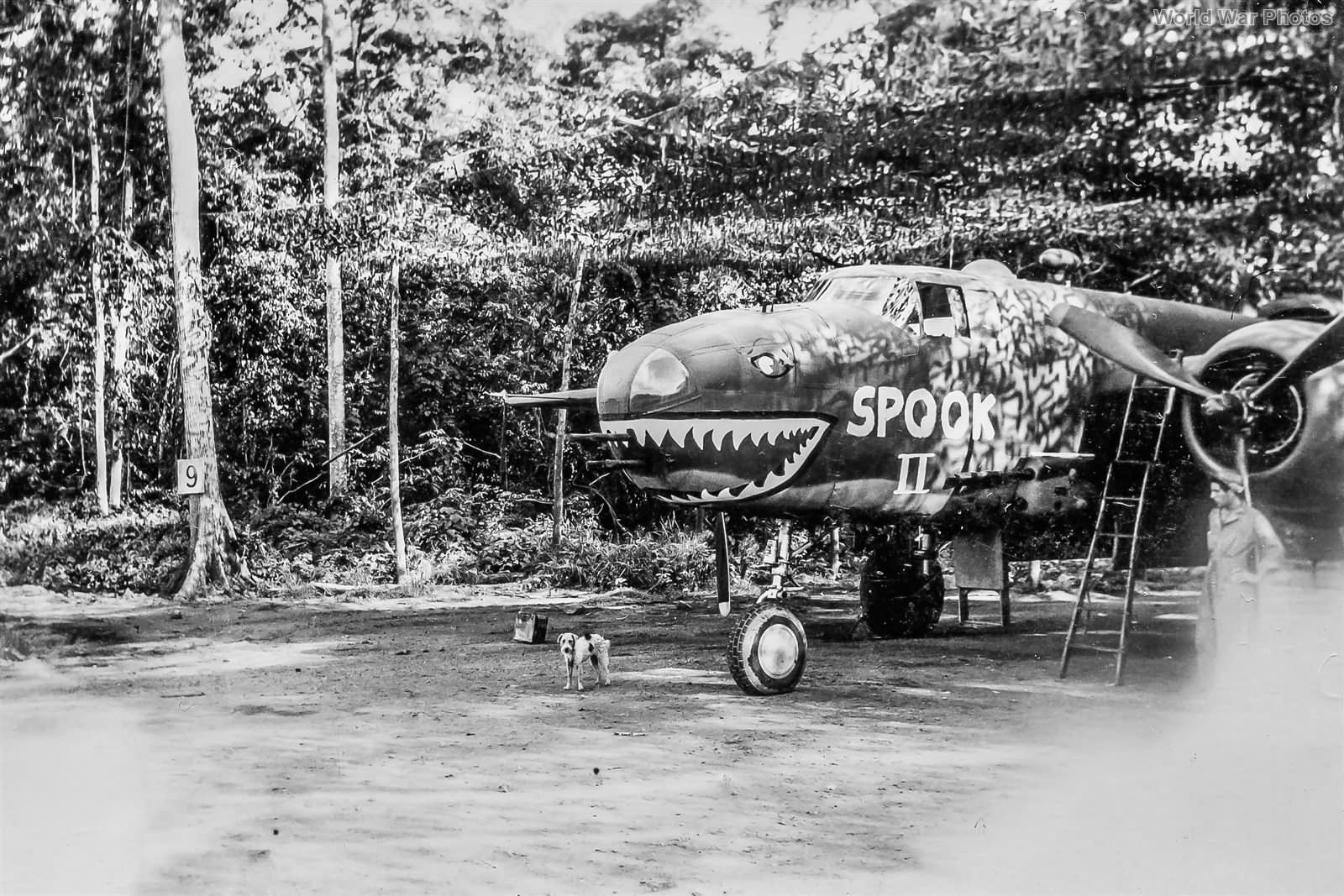 Ed Larners B-25 41-12969 3rd BG Port Moresby 1943