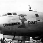 B-29 Superfortress 42-24607 of the 498th BG 875th BS, nose art Forbidden Fruit