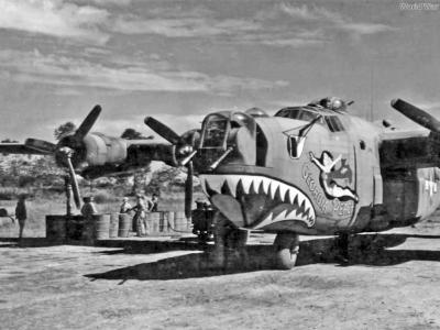 B-24J 42-73445 „Georgia Peach” of the 308th BG, 375th BS