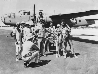 Crew of B-25 Gretchen Middle East