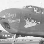 B-25 Buzz Bunny