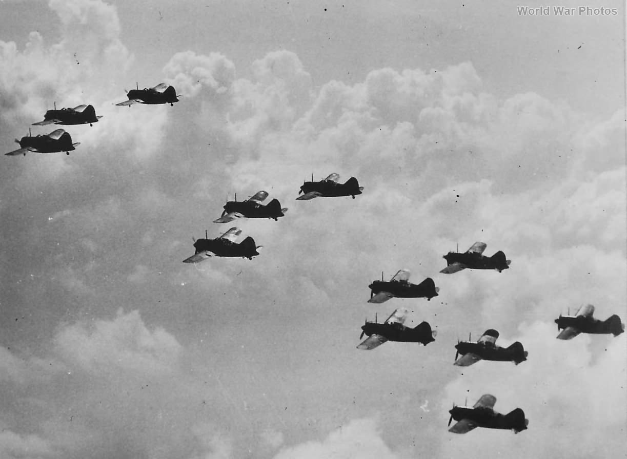 Buffalos Flying in Formation Over Malaya