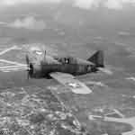 Brewster F2A-3 in flight